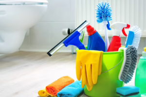 Messie Reinigung Heidelberg